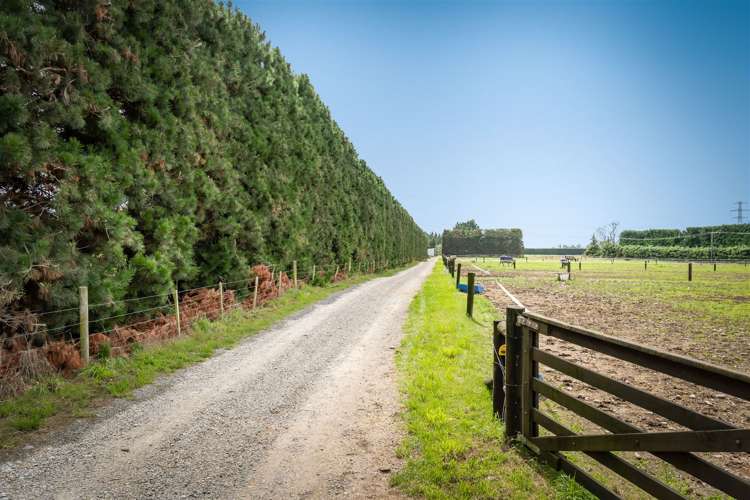 496 Knyvetts Road Southbridge_21