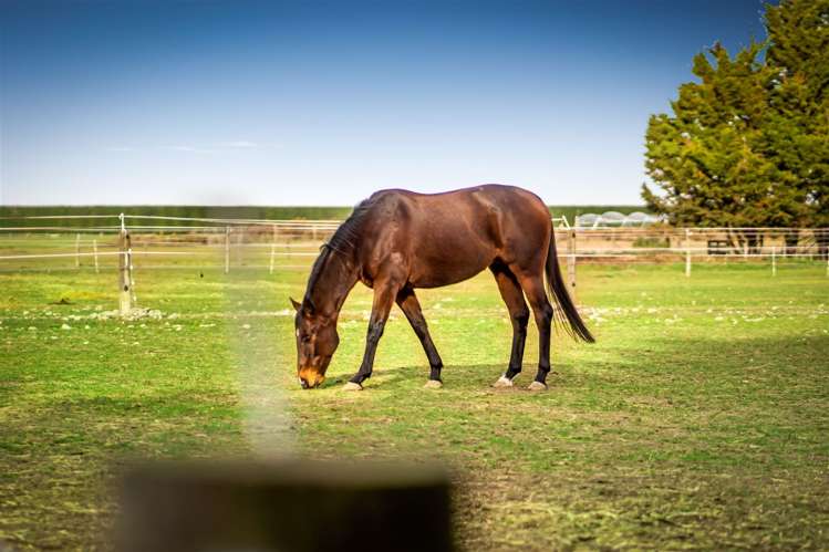 321 Southbridge Leeston Road Leeston_34