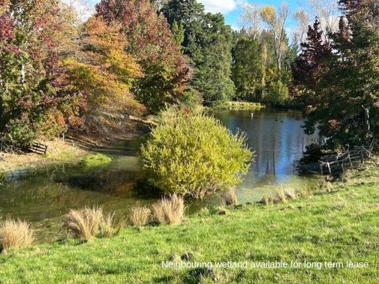 207 Rotowai Road Omakere_7