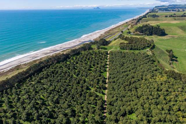 1133 Pacific Coast Highway Pikowai_1