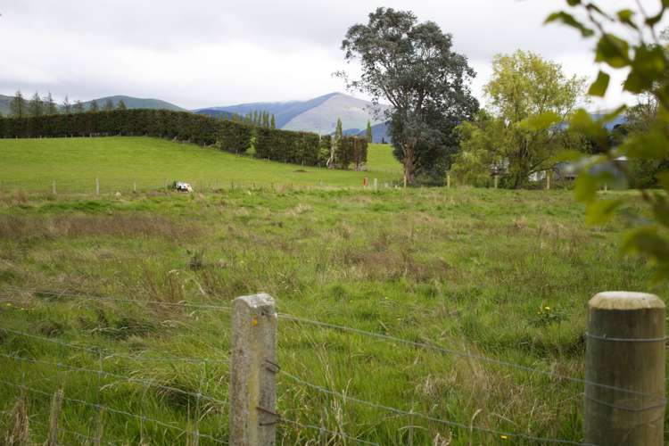 Waiwera Station Road Clinton and Surrounds_3