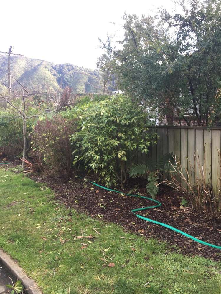 9 Scotland Street Picton_10