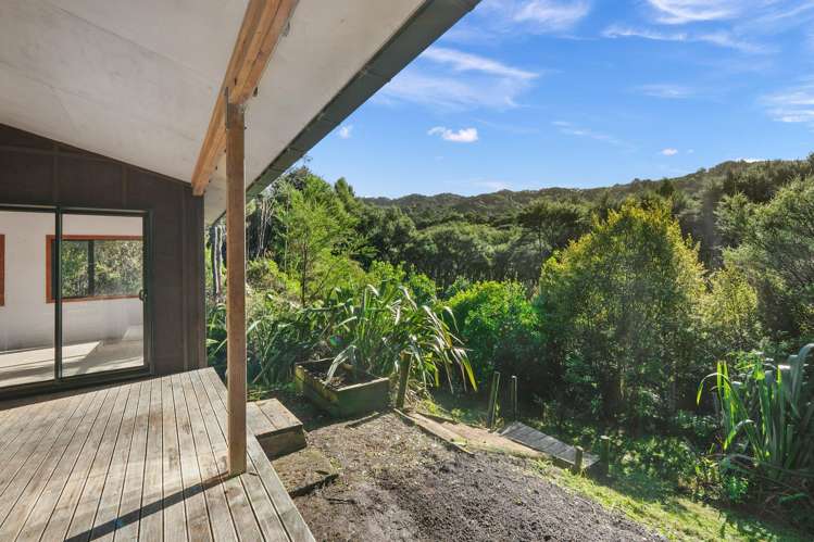 300 King Road Mangawhai_6