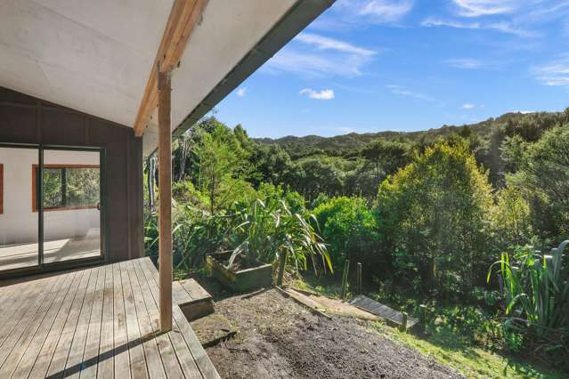 Now $385,000 — A Forest Sanctuary at a Price That Won’t Last