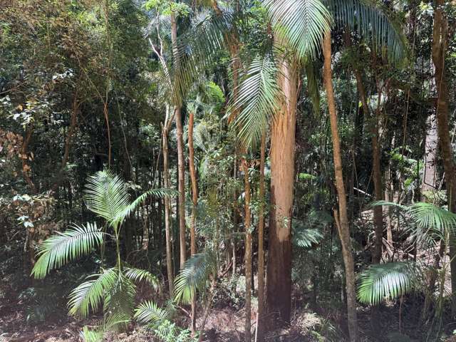 127 Wongawallan Road Tamborine Mountain_2