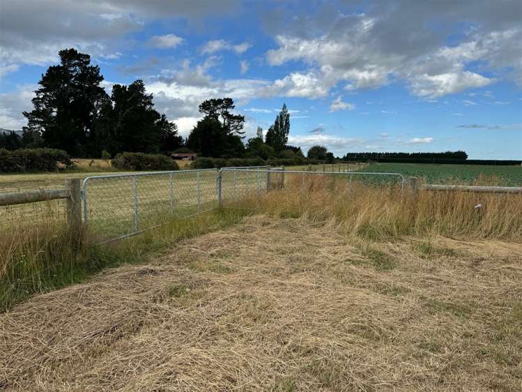 393 Kowai Road Springfield_11