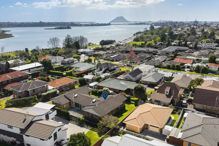 8B Shearman Grove Tauranga Central_2
