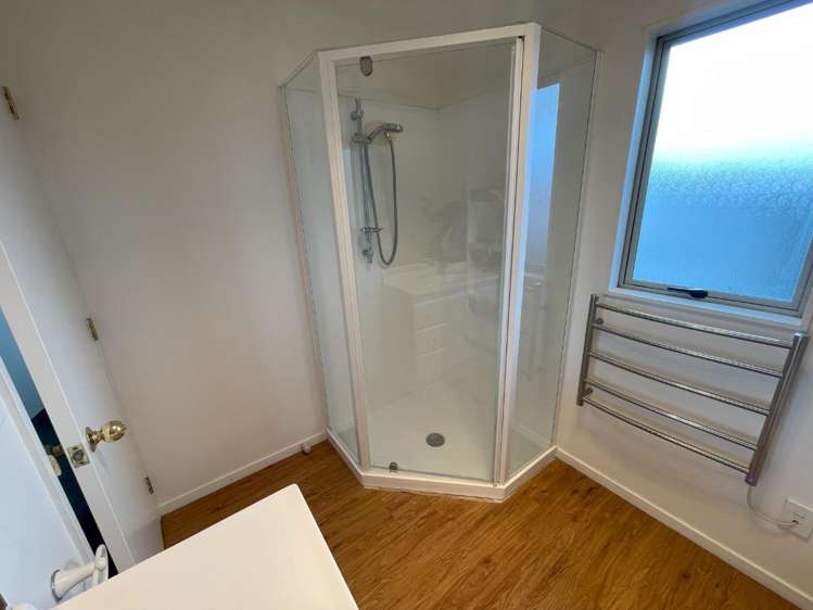 183b Massey Street Frankton_13