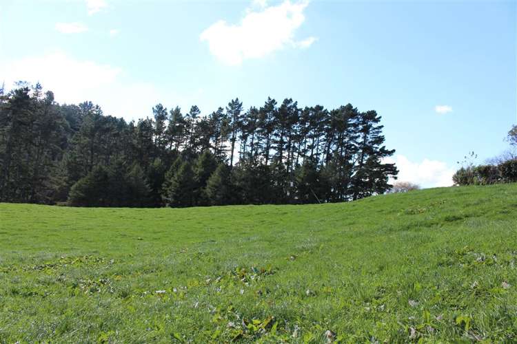 318 Waitawheta Road Waihi_14