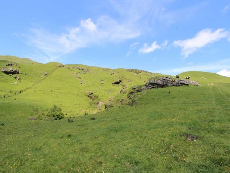 934 Coonoor Road Pahiatua_2