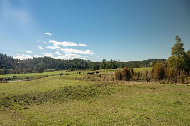 1584 Tadmor-Glenhope Road Tapawera_16