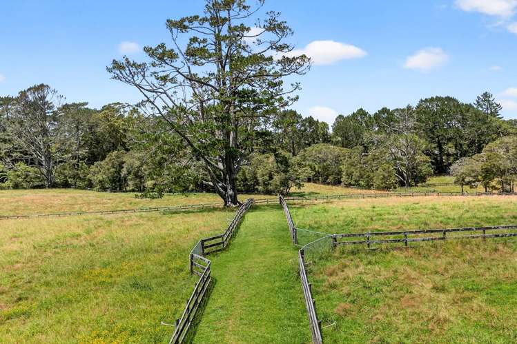 11 Tawa Road Kumeu_13