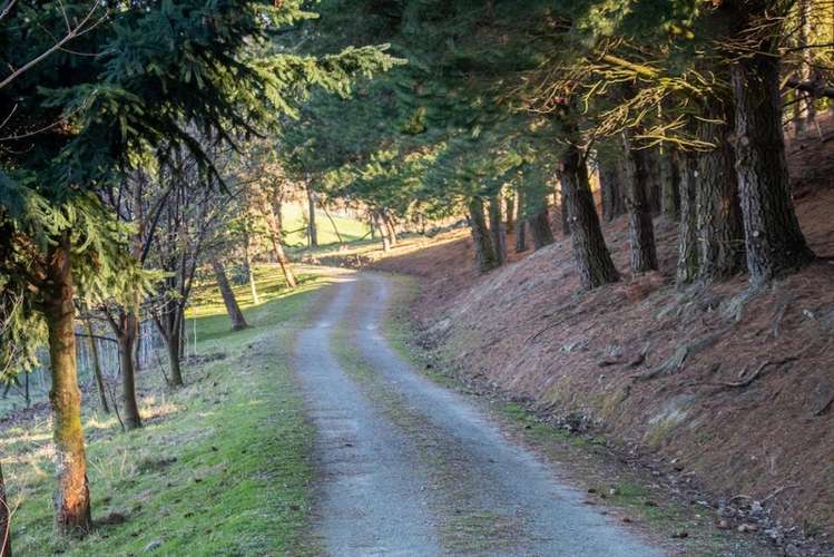 68 Hogans Gully Road Arrowtown_8