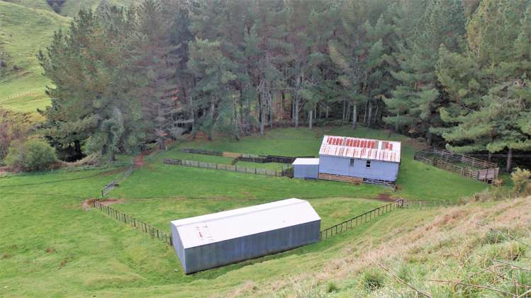 4501 State Highway 4 Waimiha-Ongarue_5