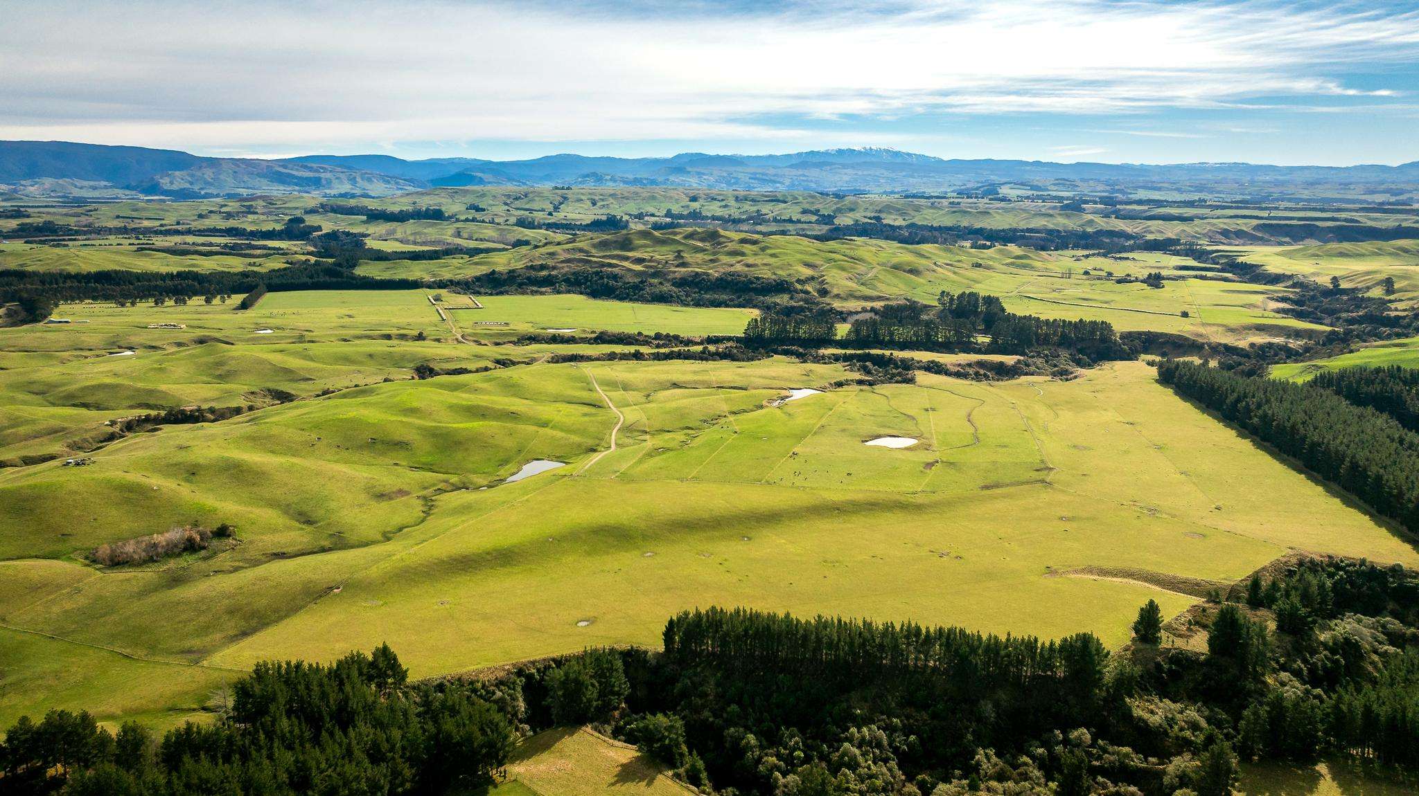 Premium Hawke’s Bay farm operation on market