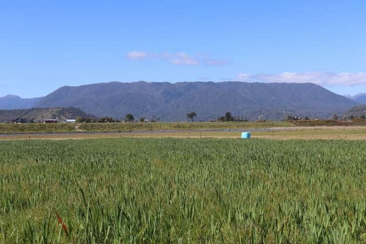 North Karamea Road Karamea_1