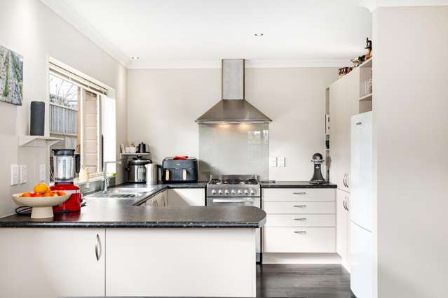 29B Horokiwi Road West Newlands_1