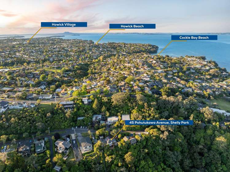 45 Pohutukawa Avenue Shelly Park_24