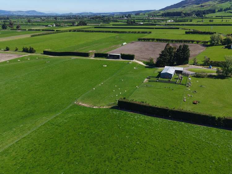 35 Maungatua Road Taieri Plain_5