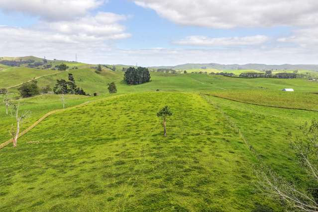 70B Manion Lane Morrinsville_3