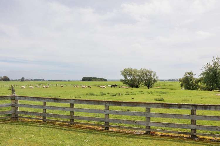 1193 Taonui Road Feilding_16