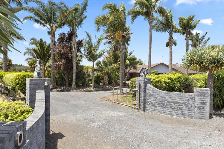 33 Jamieson Road Buckland_22