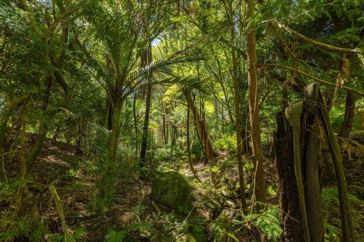 236 Willoughby Road Tahawai_5