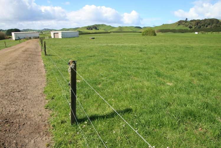 734 Bird Road Pukengahu_21