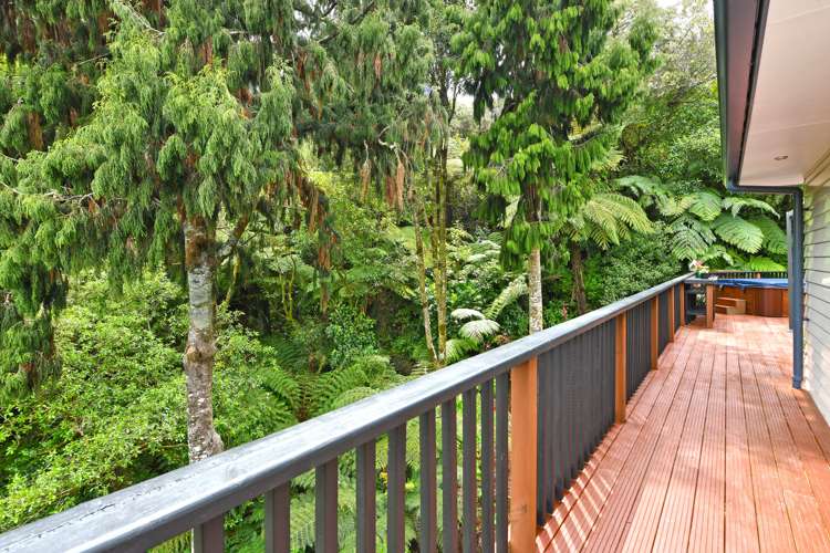 43 Forest Road Pinehaven_15