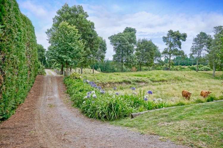 58 Huse Lane Te Puke_24