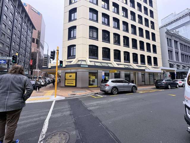 Ground/154 Featherston Street Wellington Central_3