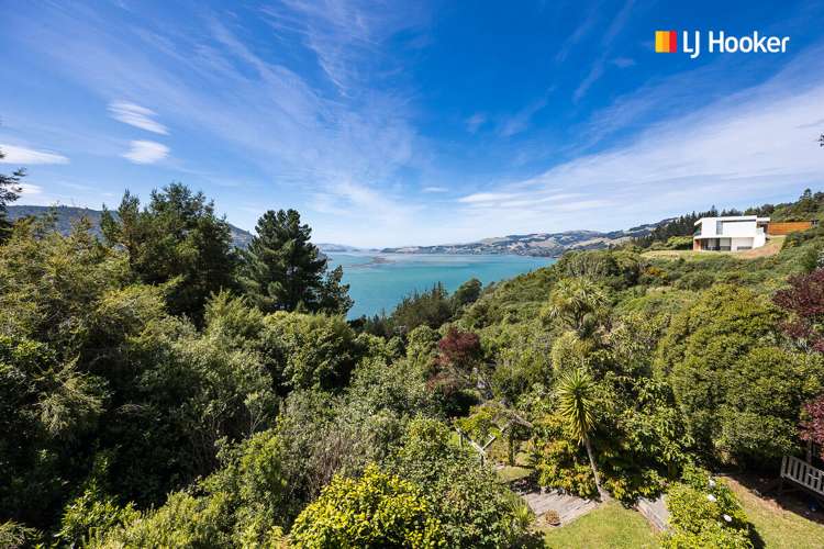 33 Connell Street Waverley_21