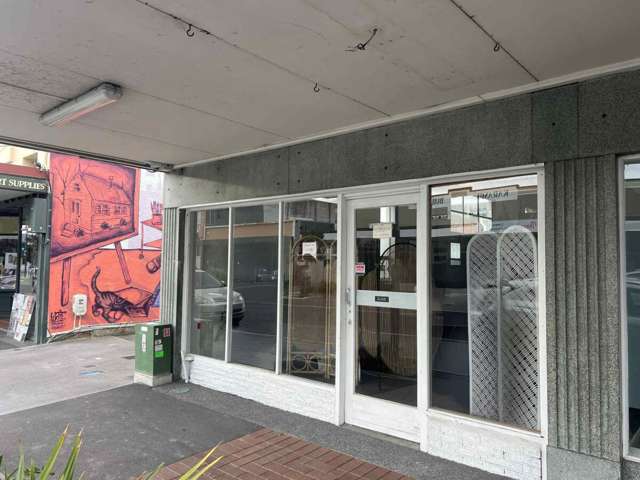 200 Heretaunga Street East Hastings Central_3