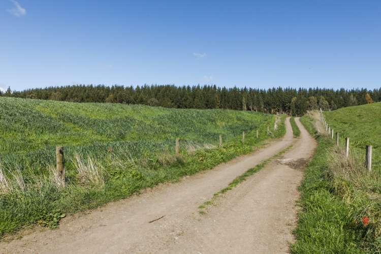 76 Brandon Hall Road Bulls_16