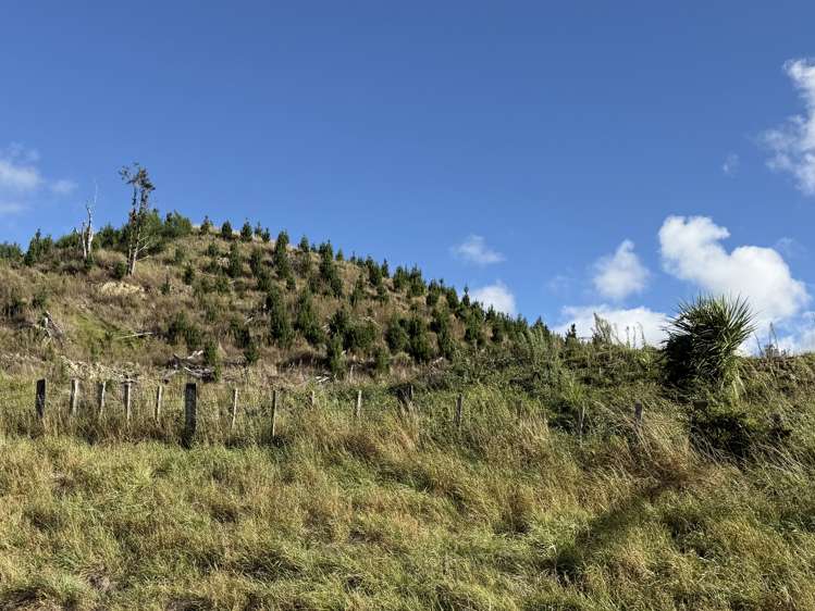 300 Ngapaeruru Road Dannevirke_3