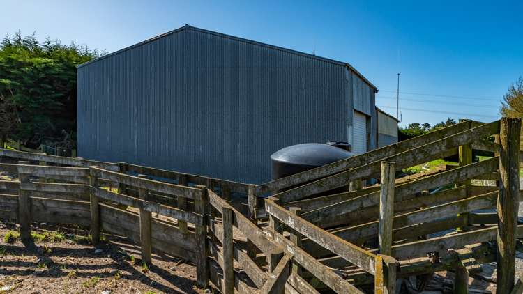 Selwyn Lake Road Leeston_34