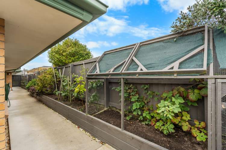 9 Globe Bay Drive Templeton_20