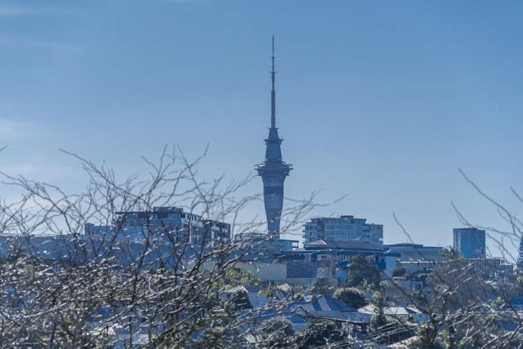 50a Second Avenue Kingsland_8