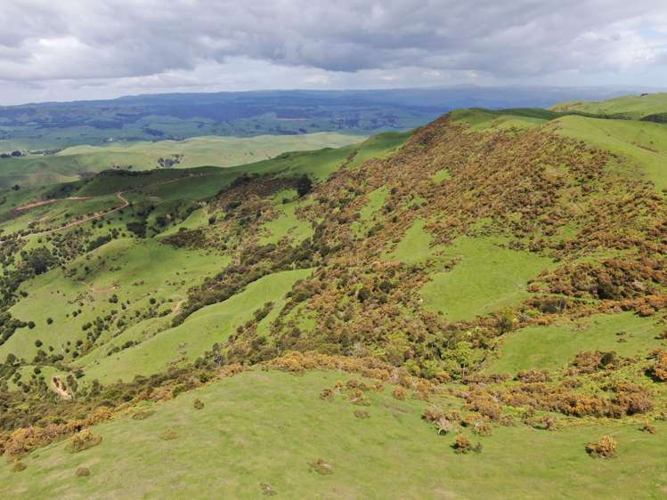 613 Pirongia West Road Oparau_1