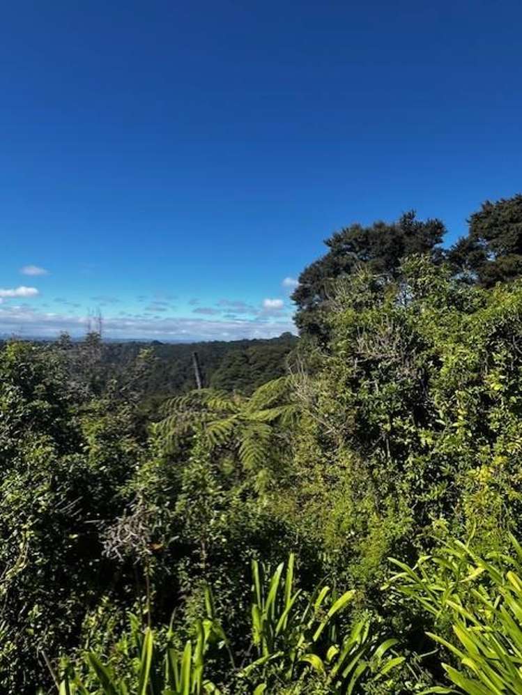 50 Kitewaho Road Swanson_4