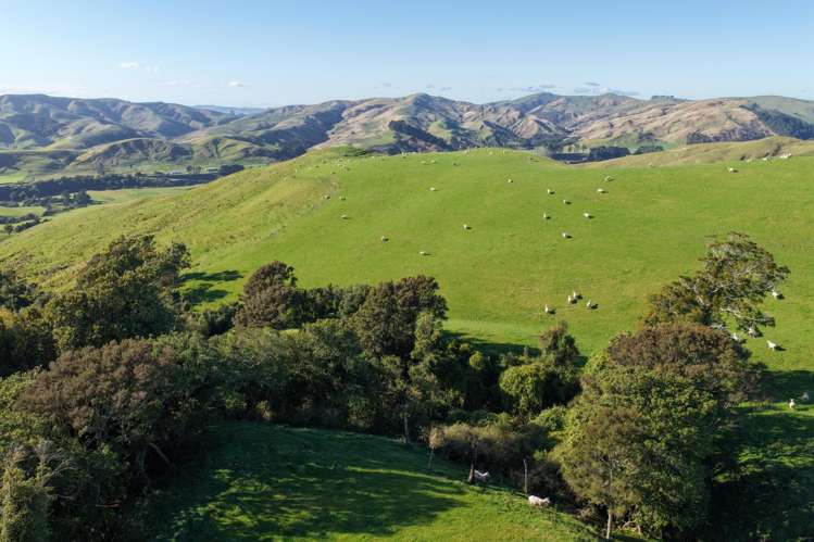 722 Castle Hill Road Alfredton_7