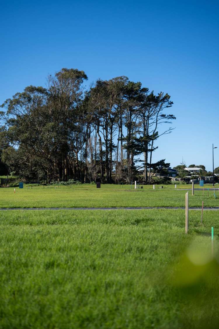 Citrus Avenue Waihi Beach_17