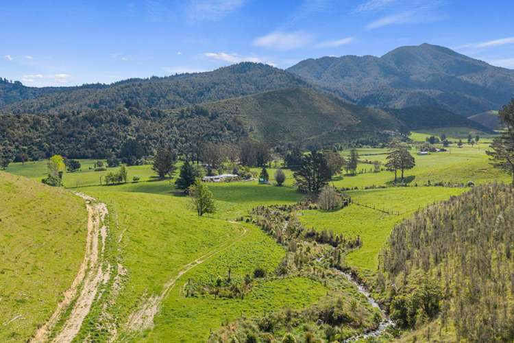 650 Ronga Road Rai Valley_37