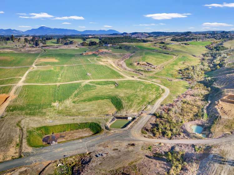 Kamana Estate Mapua_10