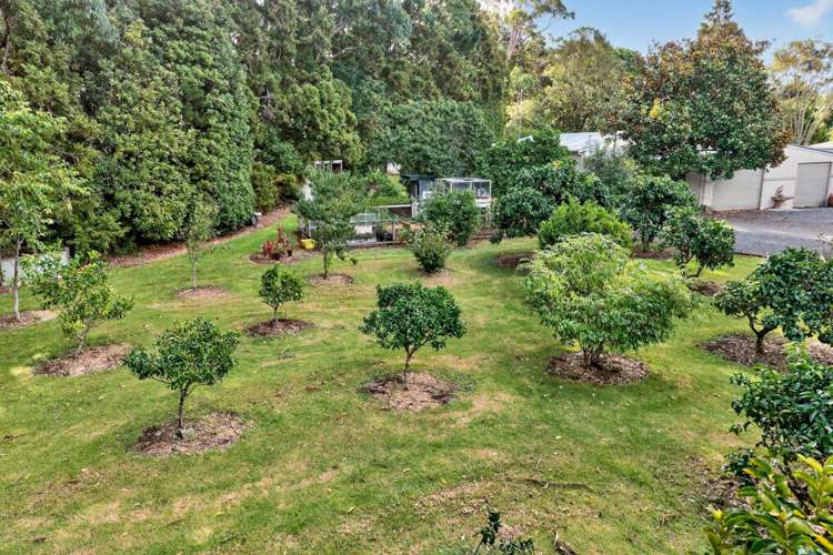 631 Tara Road Mangawhai_42