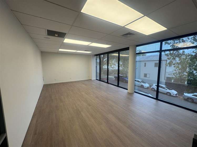 5 Wilkins Street Freemans Bay_3