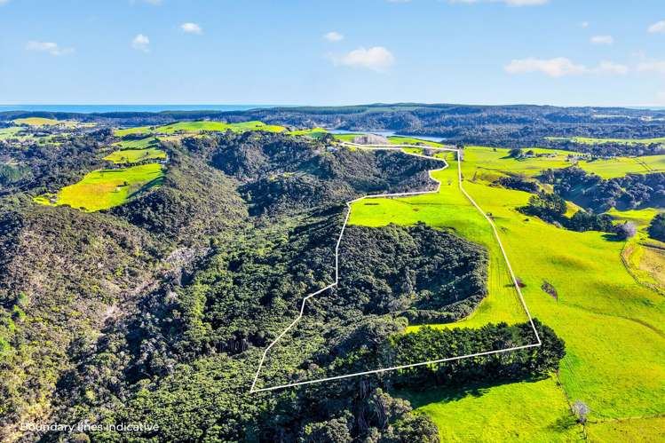Lot 2/DP 320978 South Head Road Helensville_12