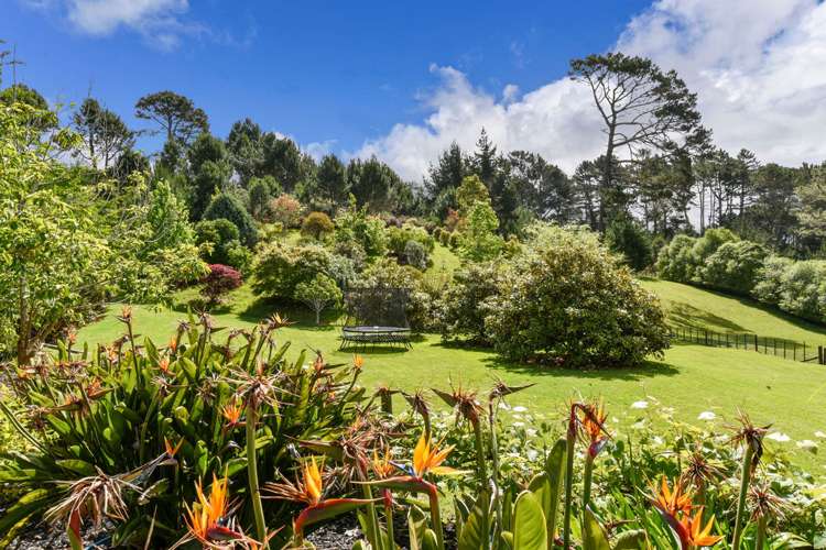 62 Potter Road Dairy Flat_17