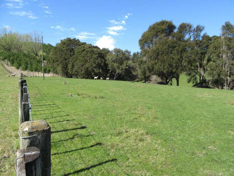 585 Mangakuri Road Elsthorpe_10