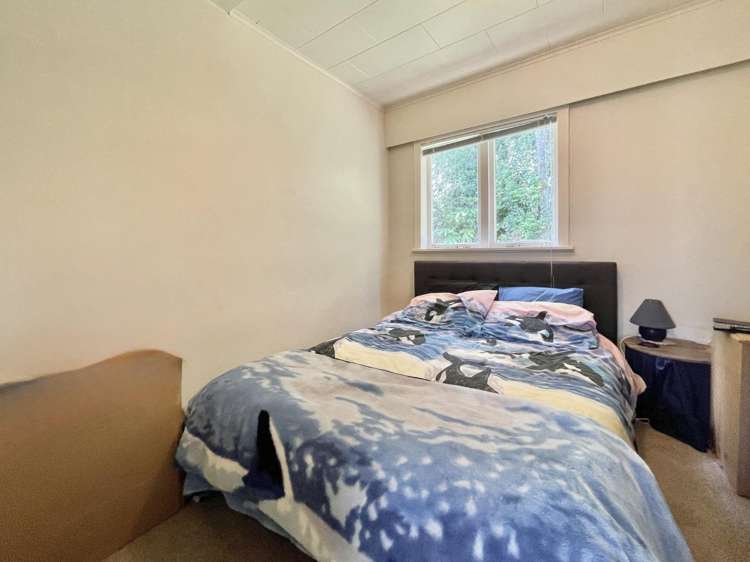 28 Warner Park Avenue Laingholm_13